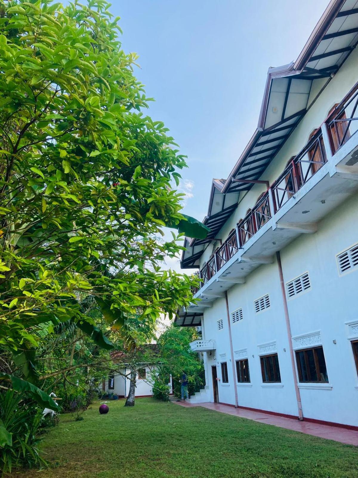 Skywalker Guest House Weligama Eksteriør bilde